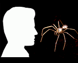 はんだ付けアーティスト